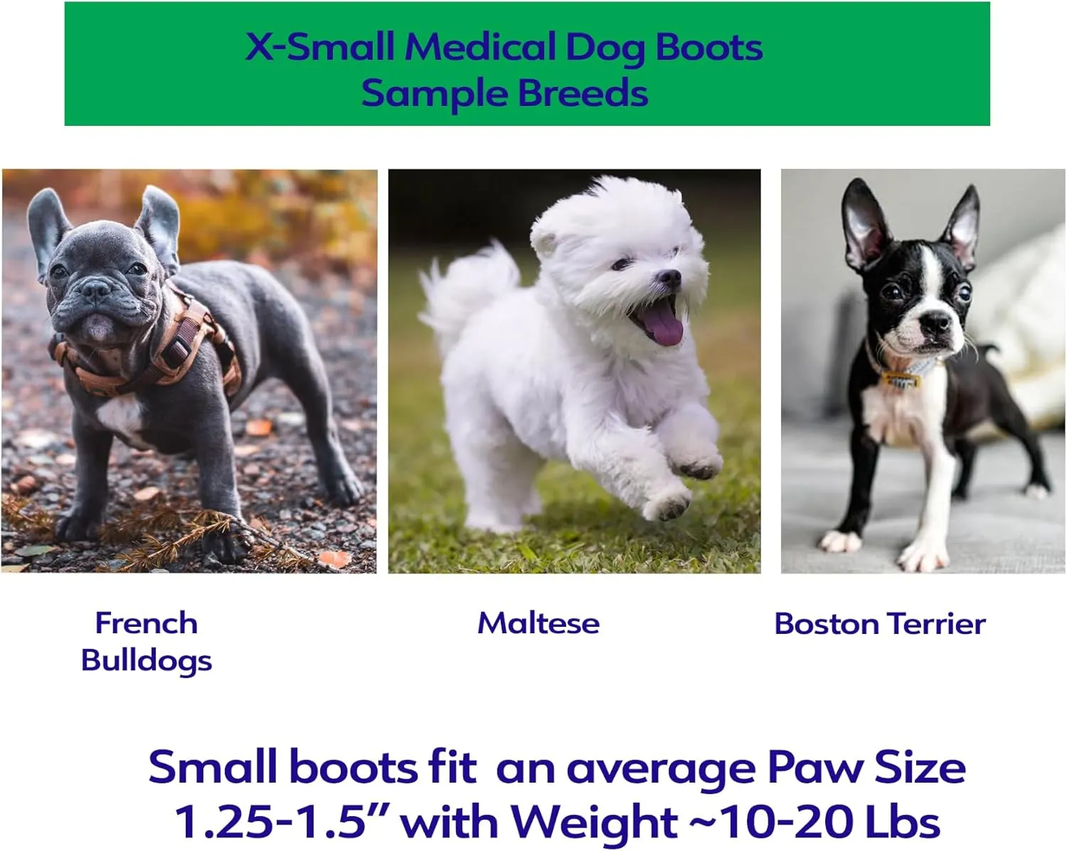 Healers Anti-Slip Dog Boot-Medical Paw Protection for x-small Breeds, Traction Booties for Slippery Floors (Single Boot, 1.5" Paw Width, 10-20 lbs), XS
