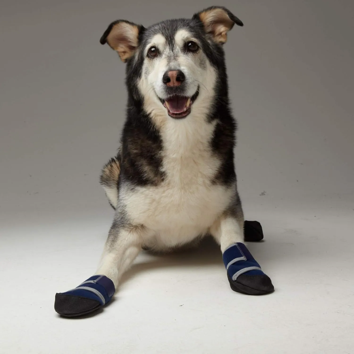 Healers Anti-Slip Dog Boot-Medical Paw Protection for x-small Breeds, Traction Booties for Slippery Floors (Single Boot, 1.5" Paw Width, 10-20 lbs), XS