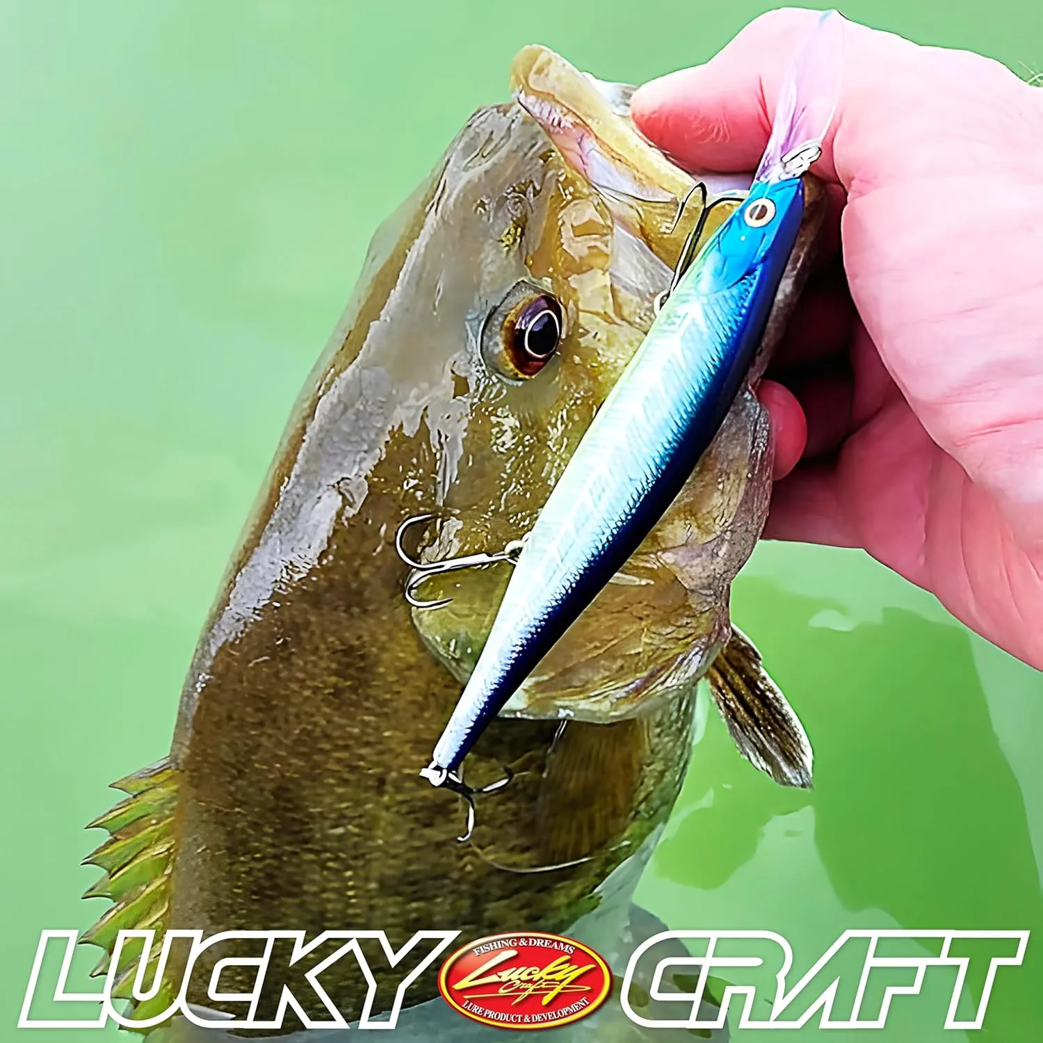 LUCKY CRAFT Lightning Pointer 110DD ~Deep Diver~, Freshwater Bass Fishing Lure, Jerkbait, Smallmouth, Walleye, Pike, Suspending, Tournament Winning, Deep Diver, Fishing Gear, Fishing Accessories